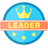 TeamRaiser Achievement Badge